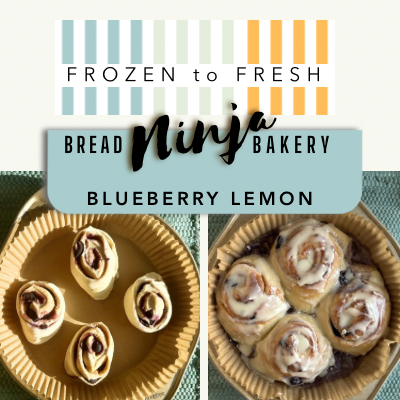 FROZEN to FRESH, 4 Pack Blueberry Lemon