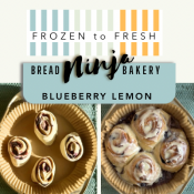 FROZEN to FRESH, 4 Pack Blueberry Lemon